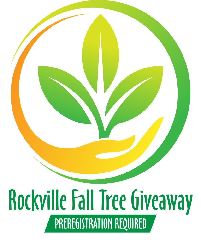 Rockville Fall Tree Giveaway