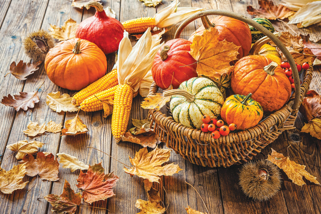 pumpkins and gourds in basket