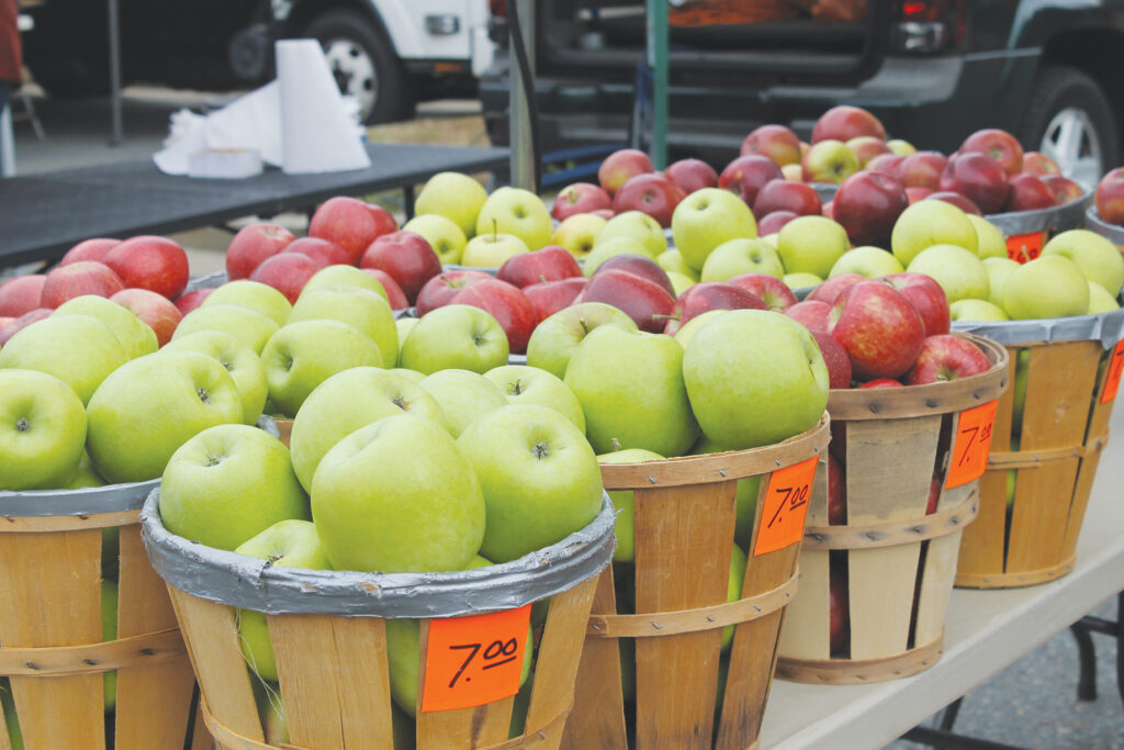 green and read apples in basket