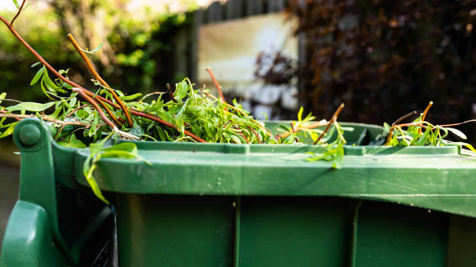 Trash can with yard waste inside.