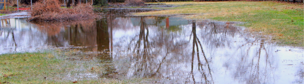 A flooded field