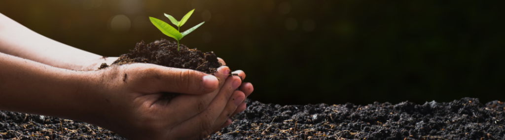 Image depicts a person holding soil with a small seedling sprouting out of it.