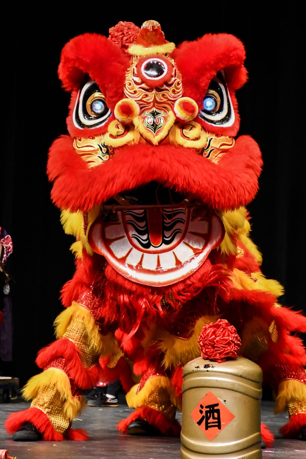 chinese new year celebration in rockville