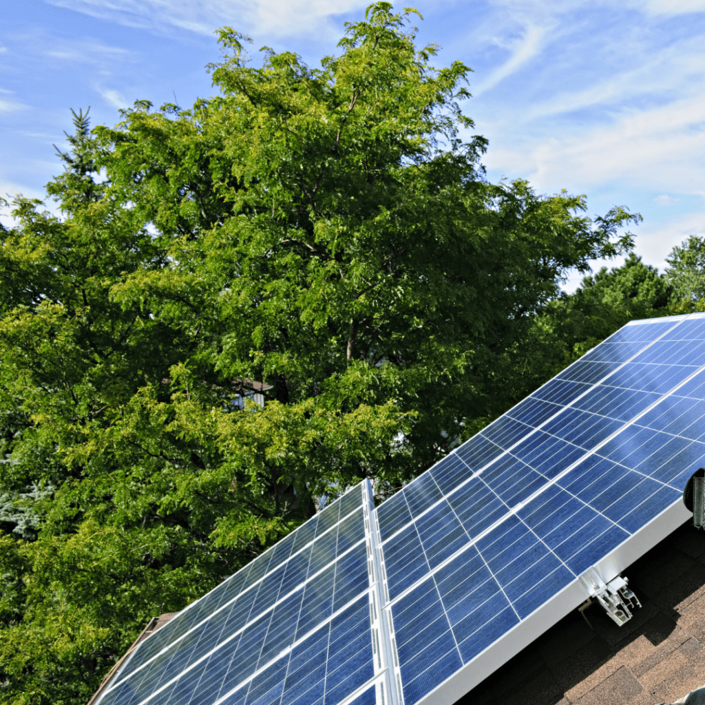 Solar panels on a roof with trees in the background
