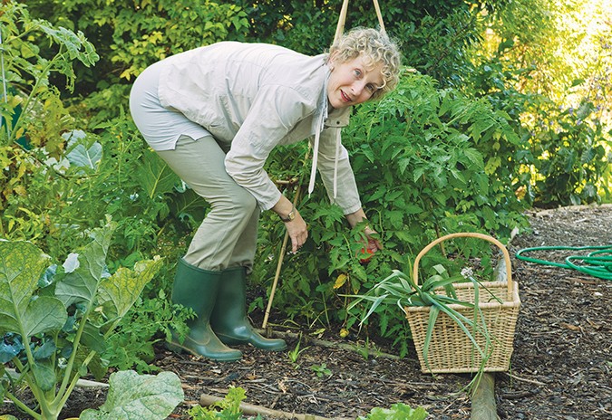 A woman in a garden gathering vegetables