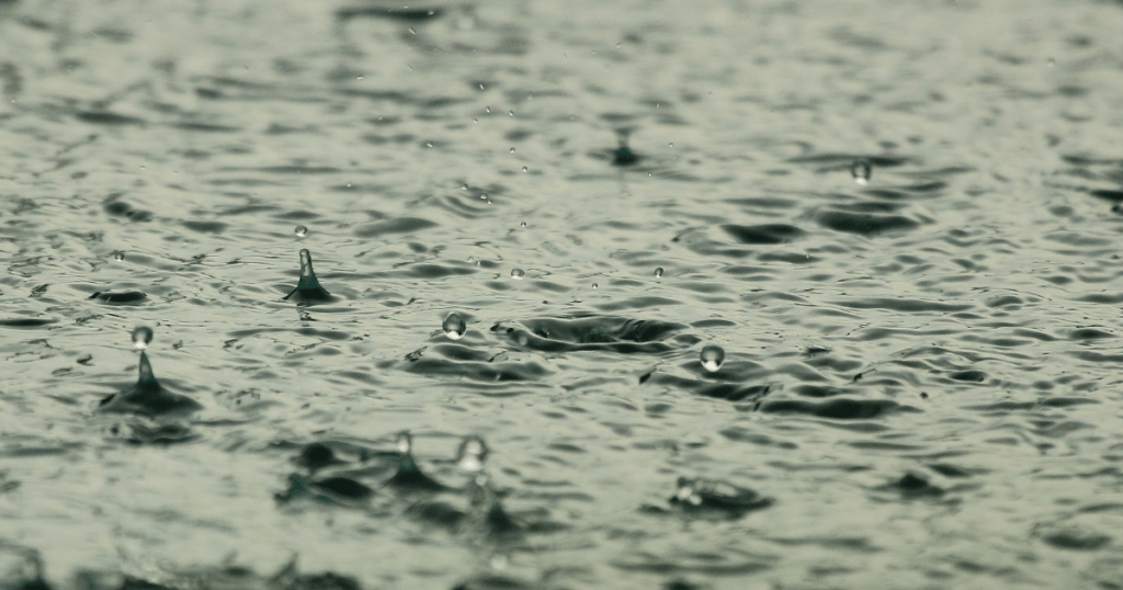 Rain drops in a large puddle