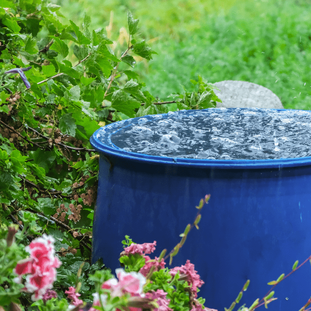 Rain cistern in garden