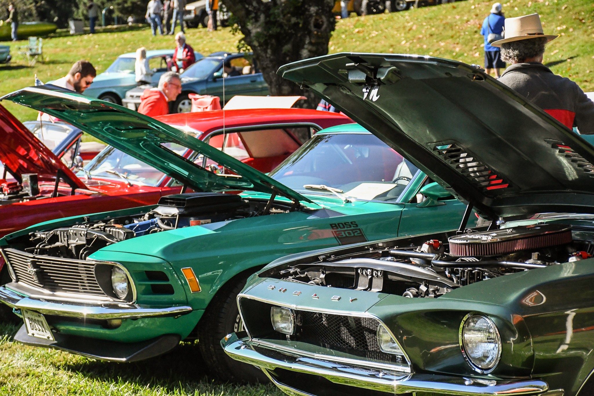 Cars with their hoods up at Antique & Classic Car Show