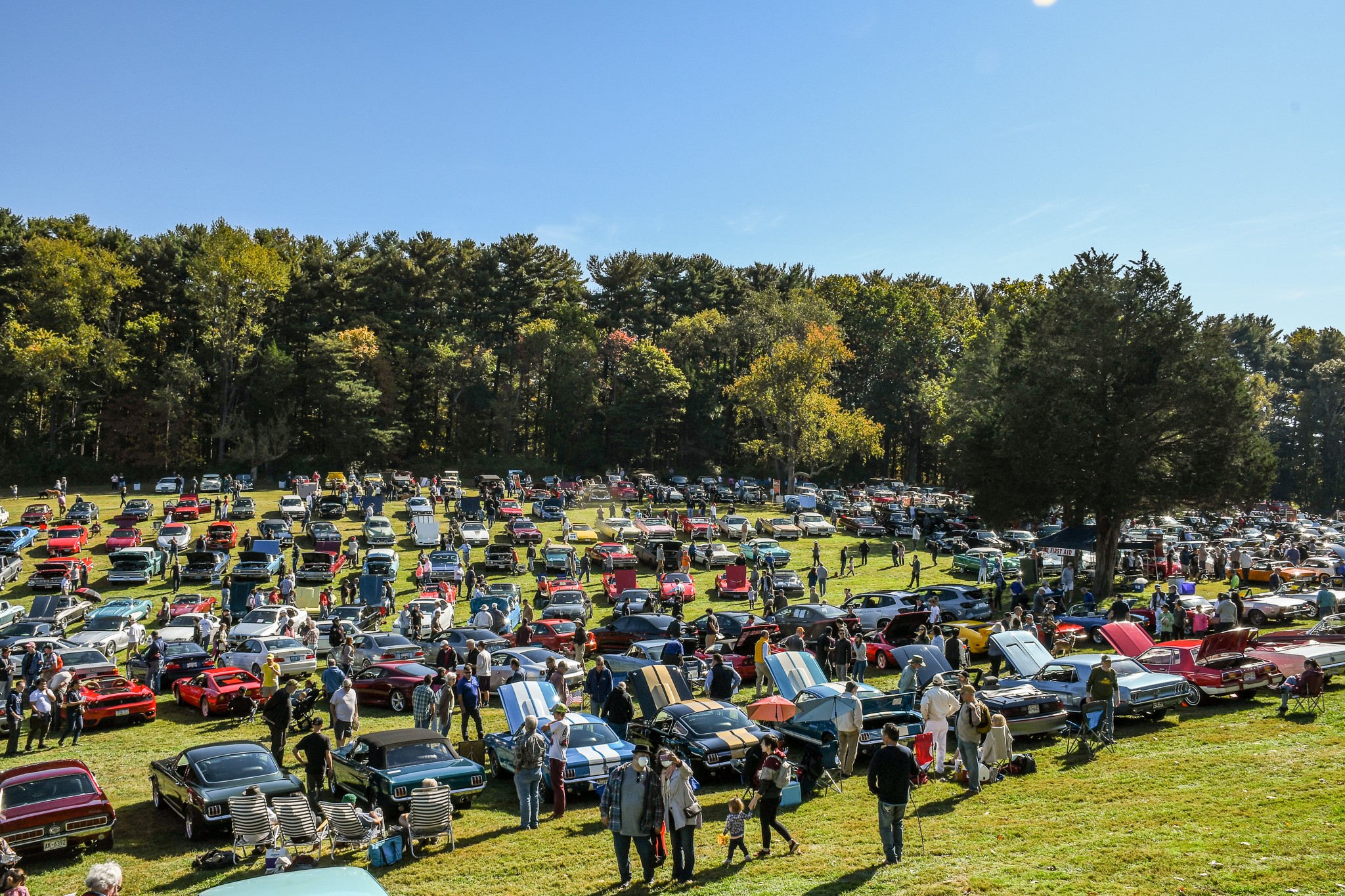 Cars in a field at Antique & Classic Car Show